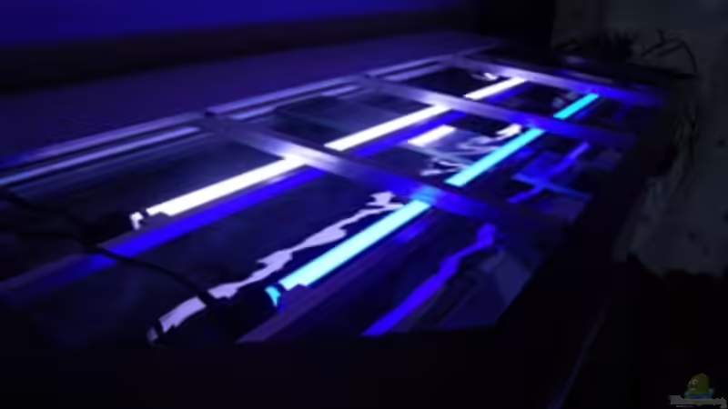 Blick auf die Beleuchtung. Der Deckel sind 3 Platte Alu mit Kunststoffkern (wasserfest von Claus Becker (9)