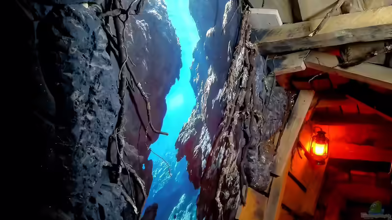 Blick auf die gesamte Tapete von Bermuda 3eck (34)