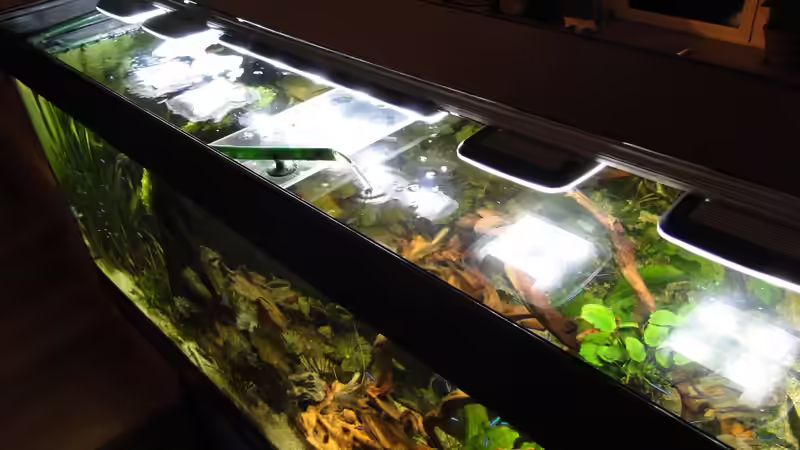 Blick auf die LED Beleuchtung  von Kirschfleckjäger (15)