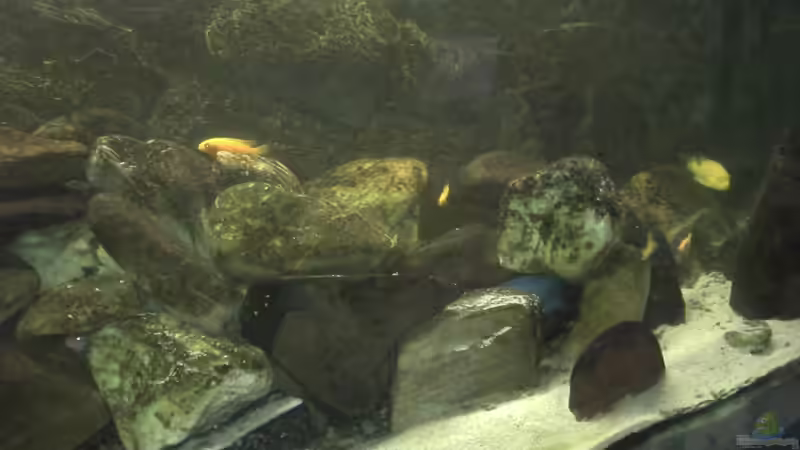 Blick auf die rechte Beckenhälfte. von Rain (5)