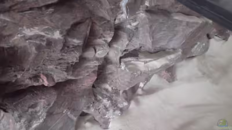 Blick auf die Rückwand... von FinalDragon (8)