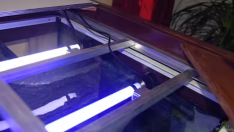 Blick auf die selbstgebaute Abdeckung mit T5 Röhren von Claus Becker (8)