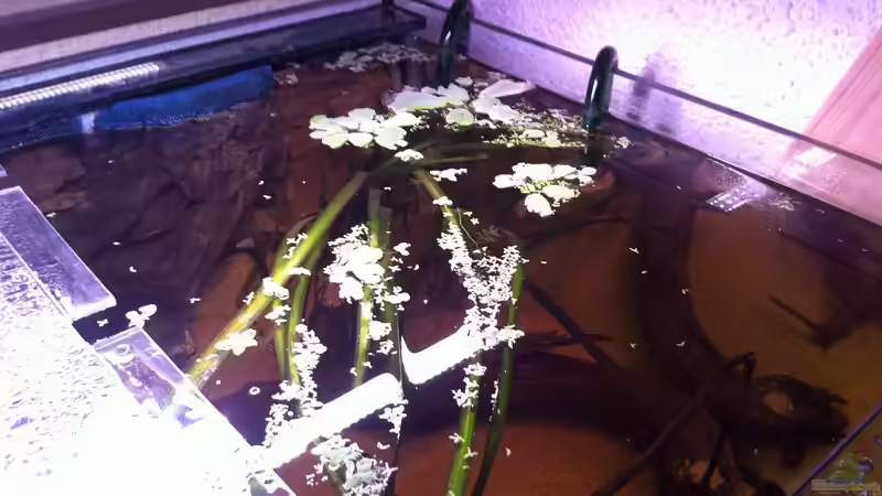 Blick auf die Wasseroberfläche von matthiasm (7)