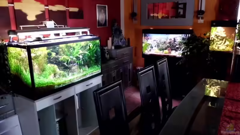 Blick auf Little Dschungel,Vision190 und Woha-Cube von snooze (6)