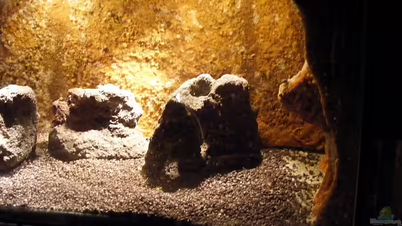 Blick auf rechts von Falk (9)