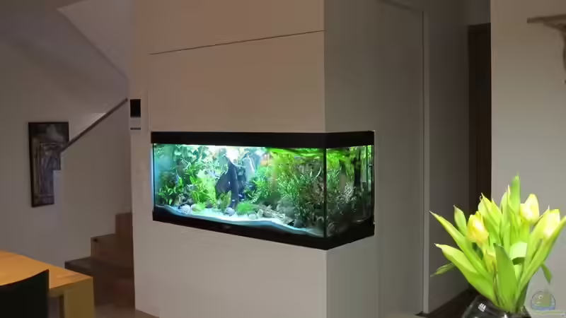 Blick aus der der Küche bzw. Esszimmer von Sarah (2)