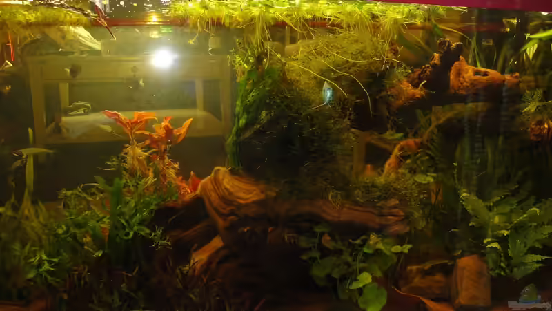 Blick aus der Küche von Pam (2)