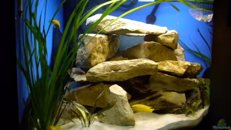 Blick aus einer anderen Perspektive von Andreas Kosir (5)