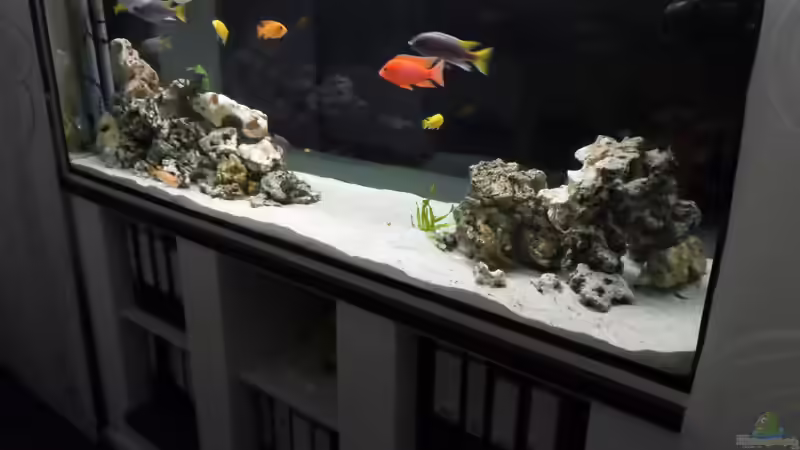 Blick Bürö von merlin1910 (4)