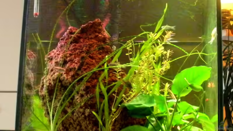 Blick Diele in Wohnzimmer und Küche von Alex Dihu (6)