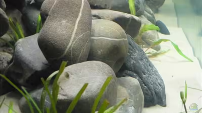 Blick durch die linke Seitenscheibe von Thobi (2)