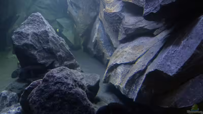 Blick durch die rechte Kopfscheibe von baumringzaehler (16)