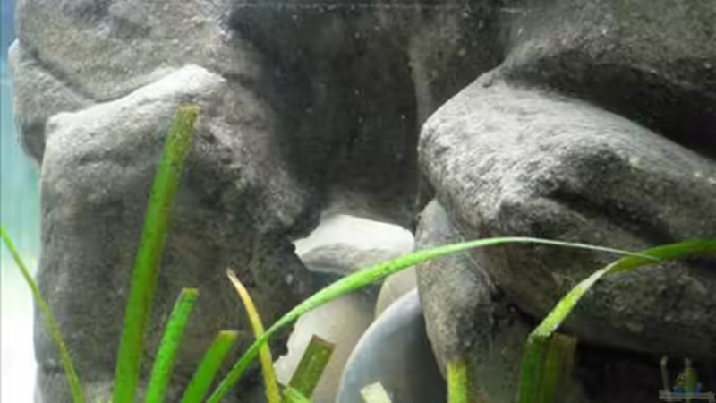 Blick durch die rechte Seitenscheibe, man sieht den ´Vorbau´ der selbstgebauten von Thobi (3)