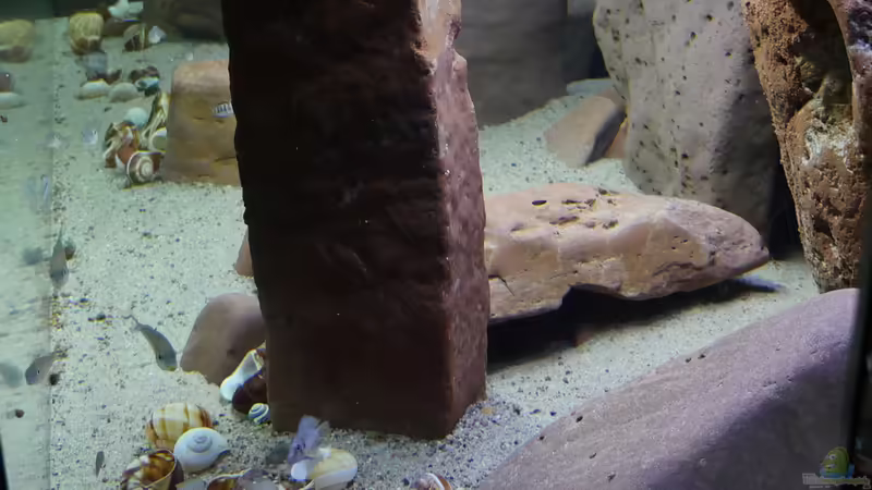 Blick durch die rechte Seitenscheibe von ravaka (8)