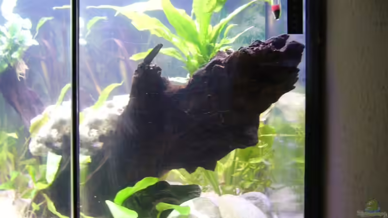 Blick durch die rechte Seitenscheibe von Sunnyboy_72 (9)