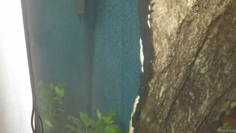 Blick hinter die linke Seite der Rückwand mit Powerhead von Thomas Kalisch (13)