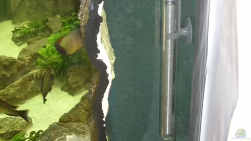 Blick hinter die rechte Seite der Rückwand mit Jäger-Heizer von Thomas Kalisch (14)