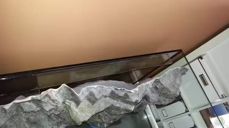 Blick hinter die Rückwand von ~MISCHA WILKEN~ (15)