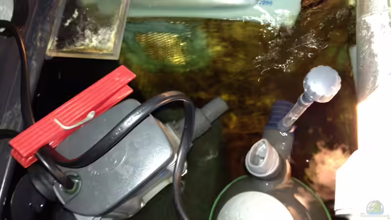 Blick in den Filterkasten von Rubens (14)