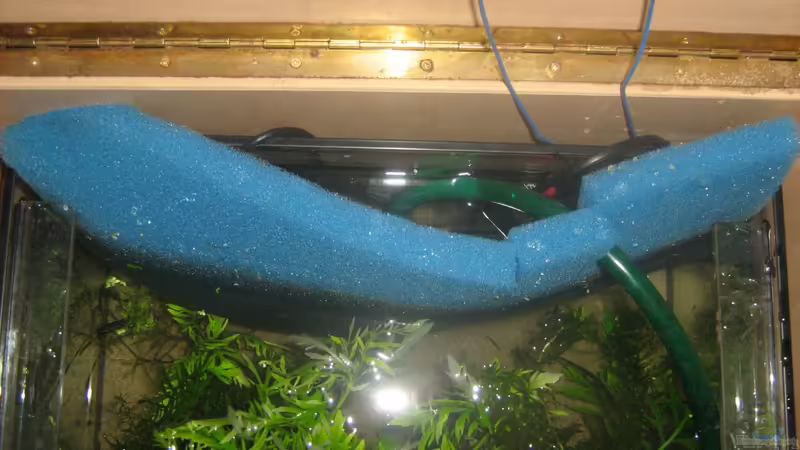 Blick in den HMF von chrisi01 (15)