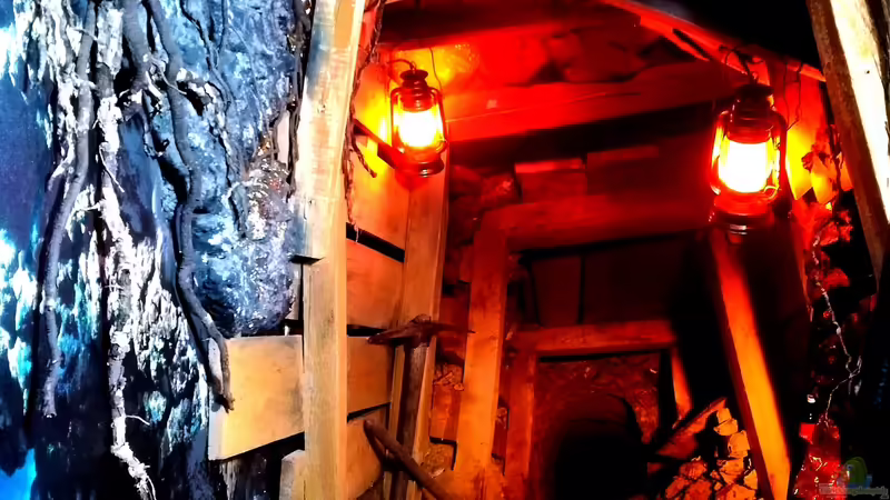 Blick in den Keller von Bermuda 3eck (35)