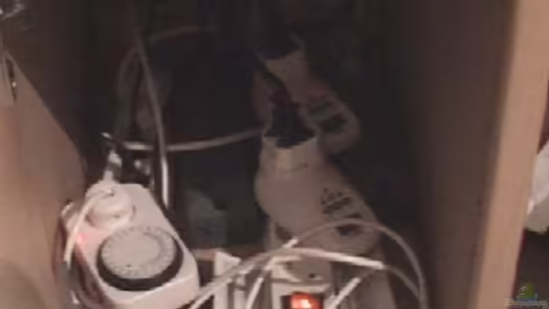 Blick in den Unterschrank von rasrol (13)