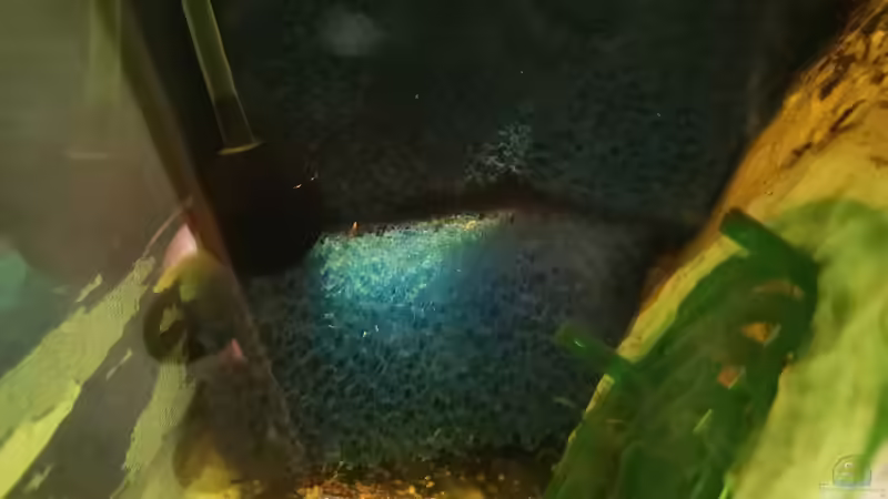 Blick in die Ansaugkammer: Man kann den Wasserstrom am Gitter gut erkennen von Odonata (18)