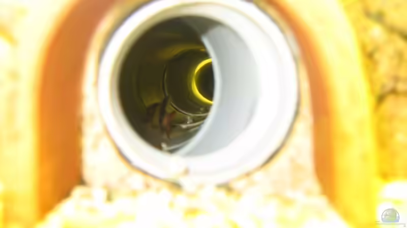 Blick in die Höhle von Lars Mielke (5)