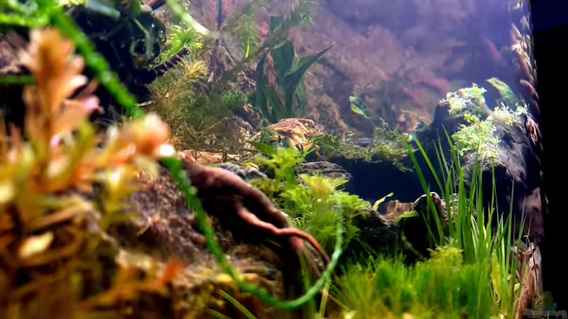 Blick in die Natur  von Sven Schaefer (6)