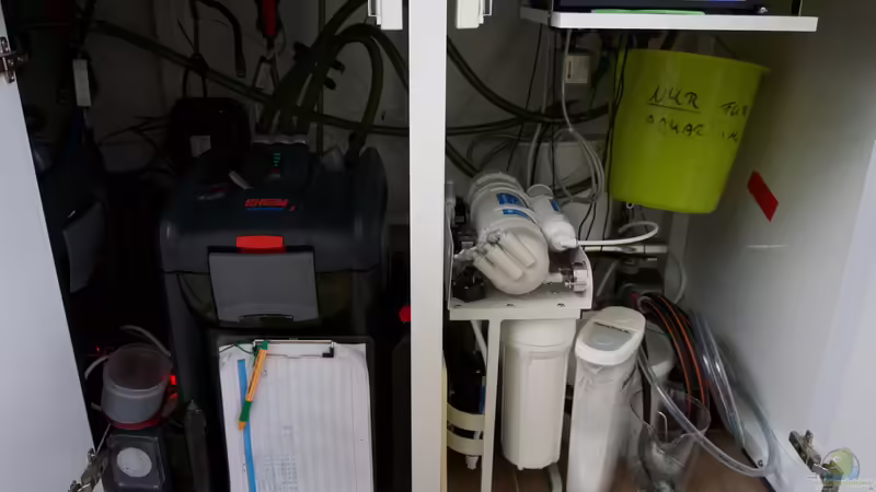 Blick in eine Hälfte des Unterschranks von Alexander Bienefeld (17)