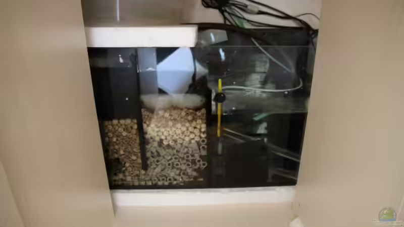 Blick ins Filterbecken von AlexDhc (14)