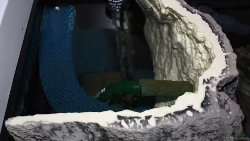 Blick ins Schnellfiltermodul von Malte (7)