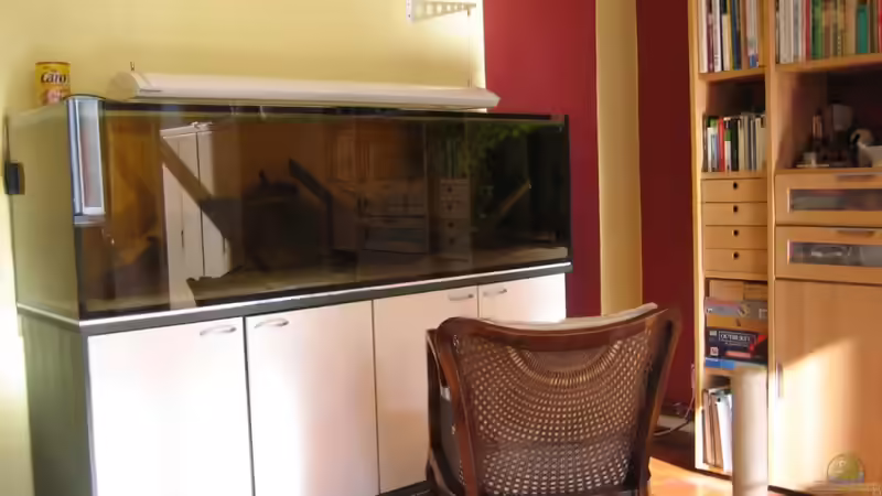 Blick ins Wohnzimmer. Wie immer herrscht auf dem Becken etwas Unordnung :-) von Kaffeesatzleser (2)