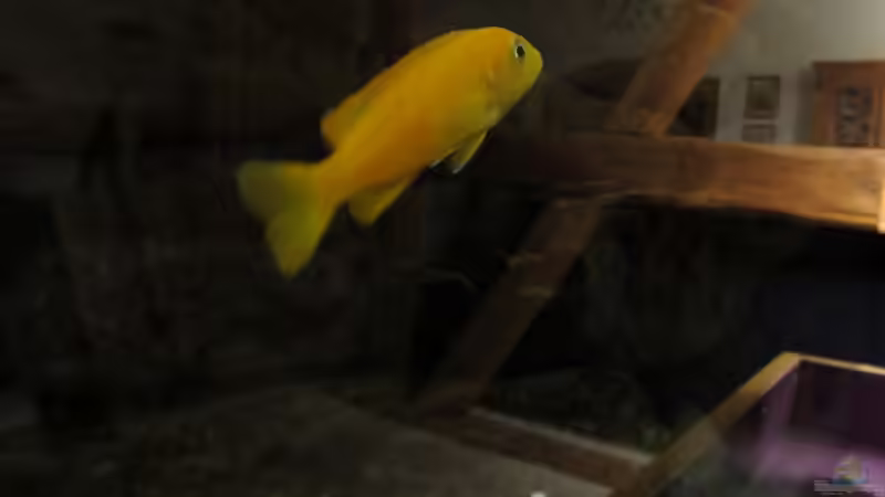 Blick ins Wohnzimmer von aquamika (32)