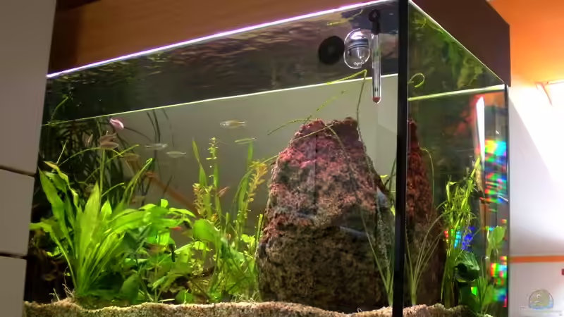 Blick Küche ins Wohnzimmer von Alex Dihu (5)