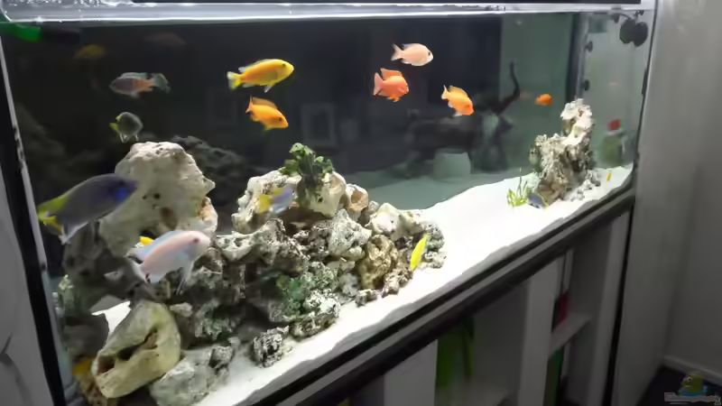 Blick lBüro von merlin1910 (3)