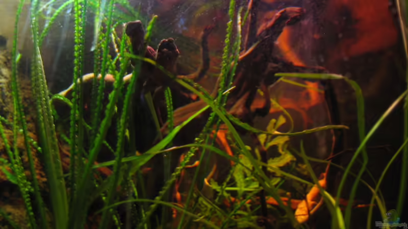 Blick linke Seitenscheibe  von Alex S (27)