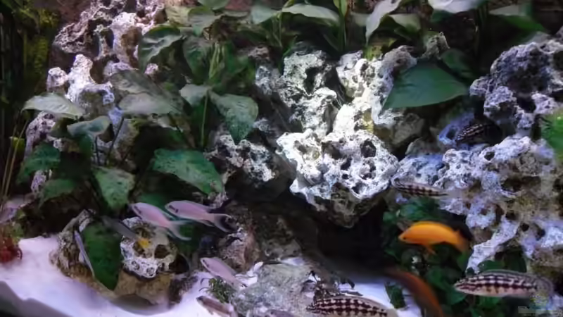 Blick nach links von Uwe Baumgarten (5)