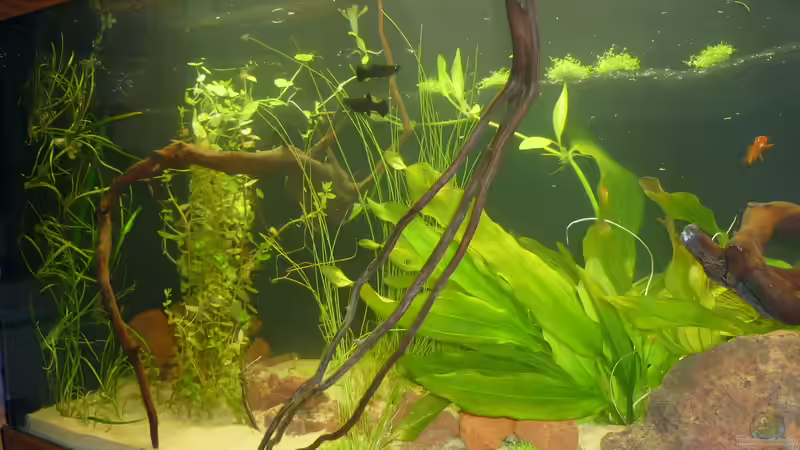 Blick schräg von rechts von Stefan E. (5)