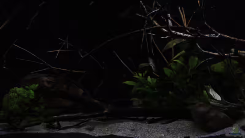 Blick seitlich nach links von Florian Bandhauer (12)