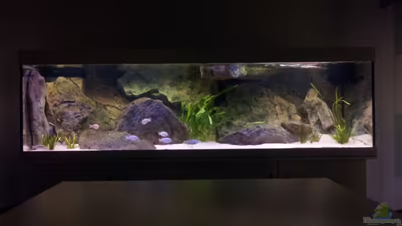 Blick über den Esstisch auf das Becken 