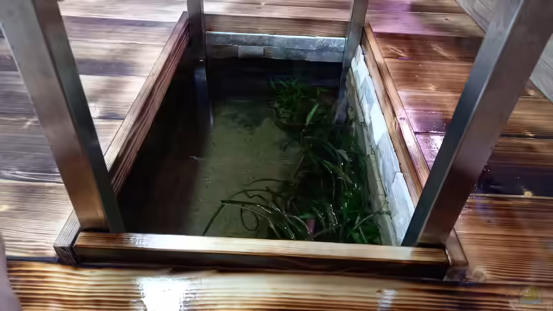 Blick unter den Tisch  von Daniel Mayer (10)