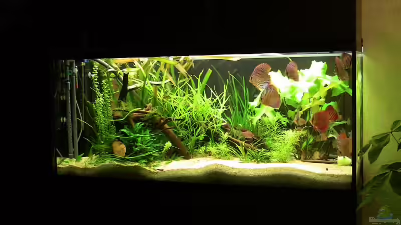 Blick vom Eingangsbereich von max-sonic (1)