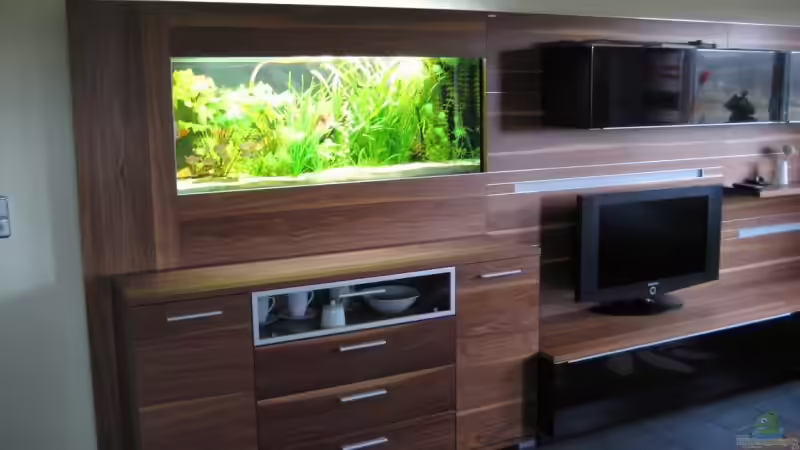 Blick vom Essbereich von max-sonic (6)