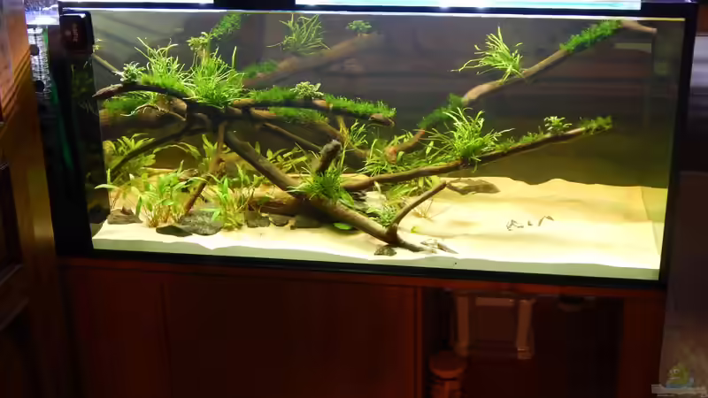 Blick vom Flur ins Wohnzimmer von Merotheq (13)