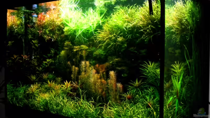 Blick vom Schreibtisch von @mazonas (11)