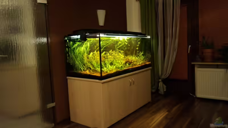 Blick vom Sofa aus. von FrankenTho (4)