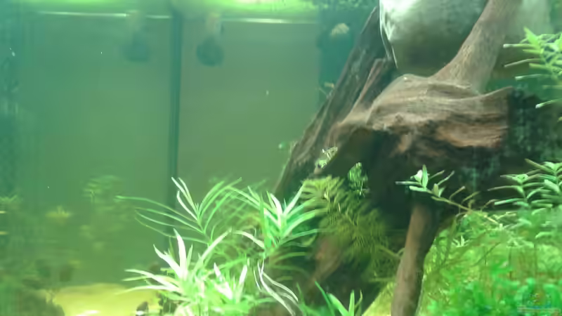 Blick vom Sofa ohne Unterschrank von er1301 (5)