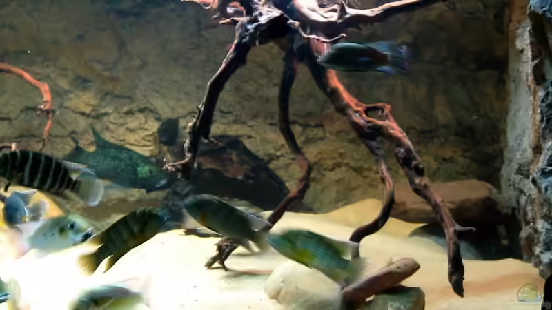 Blick vom Sofa von Christian Rieke (3)