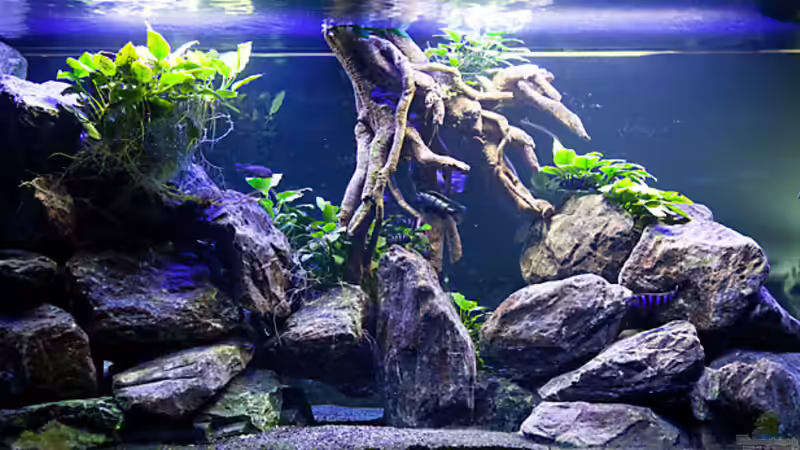 Blick vom Wohnzimmer von Erik H. (1)